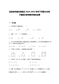 安徽省淮南市潘集区2024-2025学年下学期九年级下第四次联考数学模拟试卷（含答案解析）