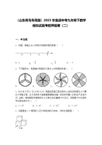 （山东青岛专用版）2025年备战中考九年级下数学模拟试题考前押题卷（二）（含答案解析）