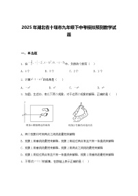 2025年湖北省十堰市九年级下中考模拟预测数学试题（含答案解析）