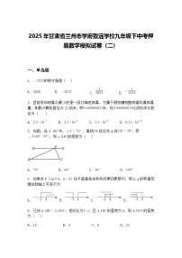 2025年甘肃省兰州市学府致远学校九年级下中考押题数学模拟试卷（二）（含答案解析）