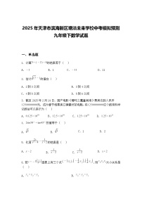 2025年天津市滨海新区塘沽未来学校中考模拟预测九年级下数学试题（含答案解析）
