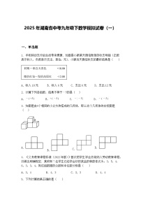 2025年湖南省中考九年级下数学模拟试卷（一）（含答案解析）