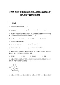 2024-2025学年江苏省苏州市工业园区星港初三零模九年级下数学模拟试卷（含答案解析）