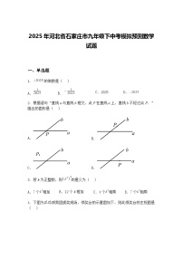 2025年河北省石家庄市九年级下中考模拟预测数学试题（含答案解析）