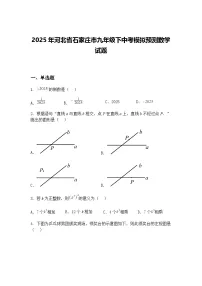 2025年河北省石家庄市九年级下中考模拟预测数学试题(含答案解析)