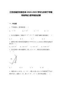 江苏省南京市联合体2024-2025学年九年级下学期零模考试-数学模拟试卷（含答案解析）