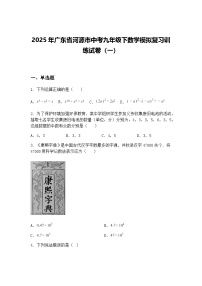 2025年广东省河源市中考九年级下数学模拟复习训练试卷（一）（含答案解析）