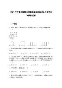 2025年辽宁省沈阳市浑南区中考零考试九年级下数学模拟试卷（含答案解析）