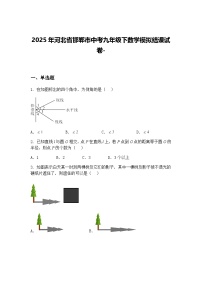 2025年河北省邯郸市中考九年级下数学模拟结课试卷-（含答案解析）
