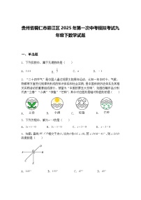 贵州省铜仁市碧江区2025年第一次中考模拟考试九年级下数学试题（含答案解析）