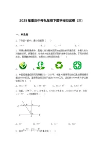 2025年重庆中考九年级下数学模拟试卷（三）（含答案解析）