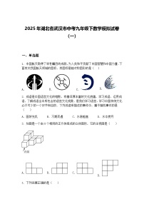 2025年湖北省武汉市中考九年级下数学模拟试卷（一）（含答案解析）