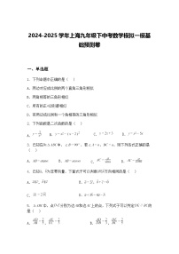 2024-2025学年上海九年级下中考数学模拟一模基础预测卷（含答案解析）