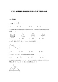 2025年陕西省中考模拟自查九年级下数学试卷（含答案解析）