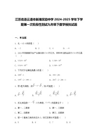 江苏省连云港市新海实验中学2024-2025学年下学期第一次阶段性测试九年级下数学模拟试题（含答案解析）