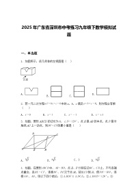 2025年广东省深圳市中考练习九年级下数学模拟试题（含答案解析）