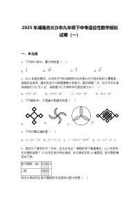 2025年湖南省长沙市九年级下中考适应性数学模拟试卷（一）（含答案解析）