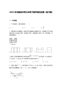 2025年河南省中考九年级下数学模拟试卷（练习卷）（含答案解析）