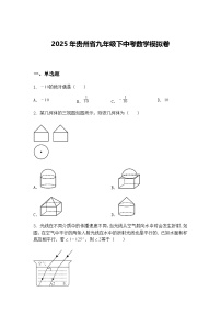 2025年贵州省九年级下中考数学模拟卷（含答案解析）