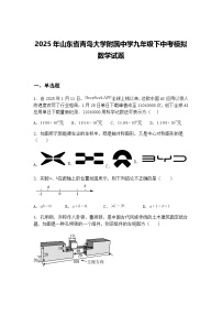 2025年山东省青岛大学附属中学九年级下中考模拟数学试题（含答案解析）