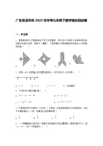 广东省深圳市2025年中考九年级下数学模拟测试卷（含答案解析）
