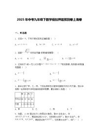 2025年中考九年级下数学模拟押题预测卷上海卷（含答案解析）