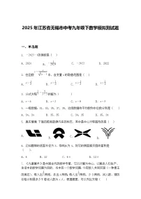 2025年江苏省无锡市中考九年级下数学模拟测试题（含答案解析）