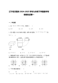 辽宁省沈阳市2024-2025学年九年级下学期数学零模模拟试卷一（含答案解析）