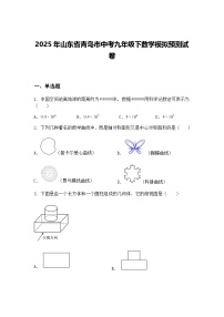 2025年山东省青岛市中考九年级下数学模拟预测试卷（含答案解析）