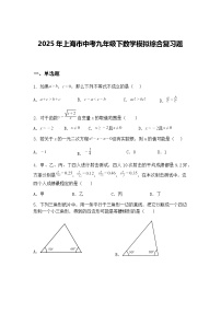 2025年上海市中考九年级下数学模拟综合复习题（含答案解析）