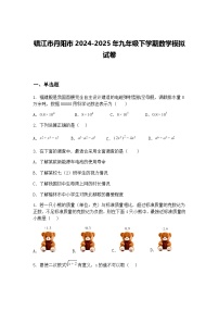 镇江市丹阳市2024-2025年九年级下学期数学模拟试卷（含答案解析）
