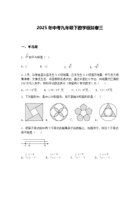 2025年中考九年级下数学模拟卷三（含答案解析）