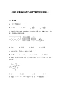 2025年重庆市中考九年级下数学模拟试卷(一)（含答案解析）