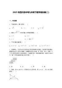 2025年四川省中考九年级下数学模拟卷(二)（含答案解析）