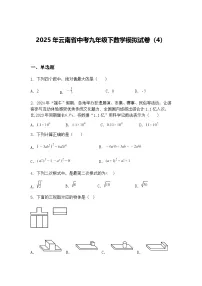 2025年云南省中考九年级下数学模拟试卷（4）（含答案解析）