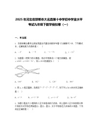 2025年河北省邯郸市大名县第十中学初中学业水平考试九年级下数学模拟卷（一）（含答案解析）