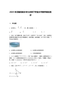 2025年河南省新乡市九年级下学业水平数学模拟测评（含答案解析）