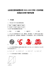 山东省日照市新营中学2024-2025学年3月中考模拟测试九年级下数学试卷（含答案解析）