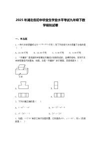2025年湖北省初中毕业生学业水平考试九年级下数学模拟试卷（含答案解析）