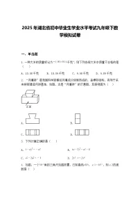 2025年湖北省初中毕业生学业水平考试九年级下数学模拟试卷（含答案解析）