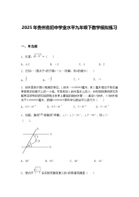 2025年贵州省初中学业水平九年级下数学模拟练习（含答案解析）
