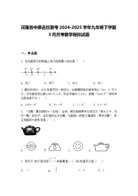 河南省中原名校联考2024-2025学年九年级下学期3月月考数学模拟试题（含答案解析）