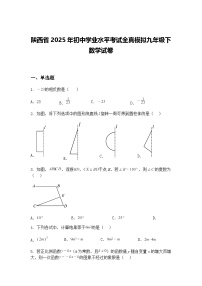 陕西省2025年初中学业水平考试全真模拟九年级下数学试卷（含答案解析）