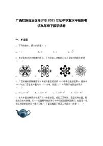 广西壮族自治区南宁市2025年初中学业水平模拟考试九年级下数学试卷(含答案解析)