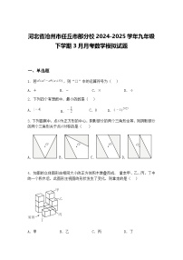 河北省沧州市任丘市部分校2024-2025学年九年级下学期3月月考数学模拟试题（含答案解析）