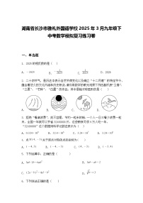 湖南省长沙市雅礼外国语学校2025年3月九年级下中考数学模拟复习练习卷（含答案解析）