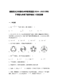湖南省长沙市雅礼中学教育集团2024—2025学年下学期九年级下数学模拟3月检测卷（含答案解析）