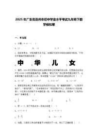 2025年广东省连州市初中学业水平考试九年级下数学模拟卷（含答案解析）
