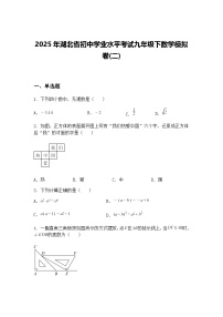 2025年湖北省初中学业水平考试九年级下数学模拟卷(二)（含答案解析）