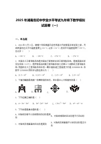 2025年湖南省初中学业水平考试九年级下数学模拟试题卷（一）（含答案解析）